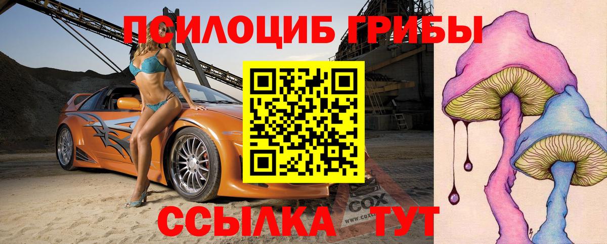 Галлюциногенные грибы MAGIC MUSHROOMS  наркошоп  Выборг  Вход с VPN 